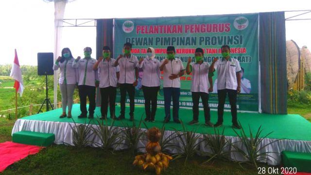 HKTI Prov NTB