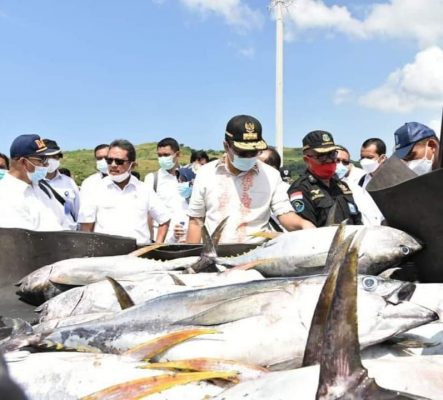 NTB Akan Dijadikan Pusat Budidaya Lobster Nasional