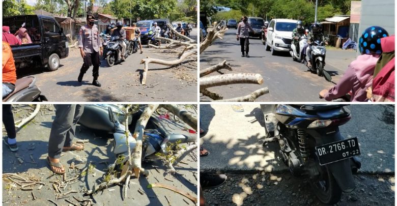 pengendara sepeda motor
