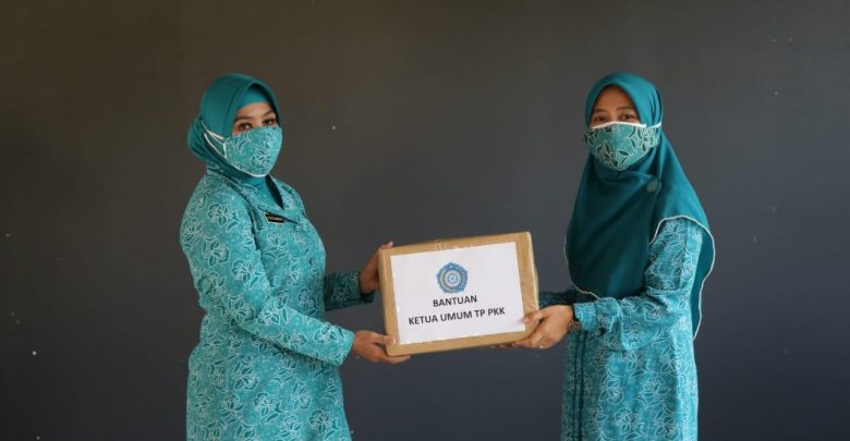Ketua TP PKK