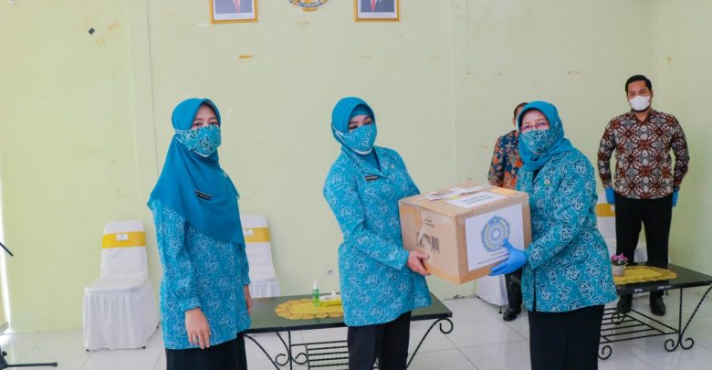 Ketua TP PKK
