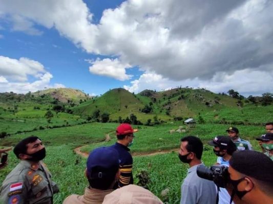 Penanganan Hutan Gundul di NTB Harus Berorientasi Kesra