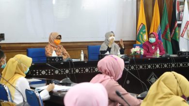Wagub, Posyandu Keluarga Solusi Permasalahan Perempuan dan Anak