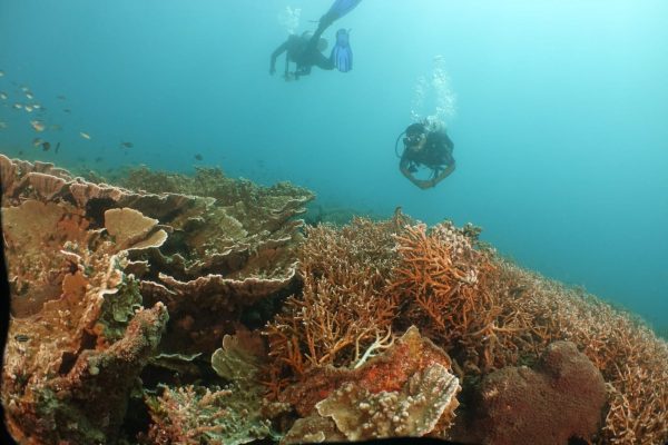 BPPD Lombok Timur Identifikasi Destinasi Wisata Bahari
