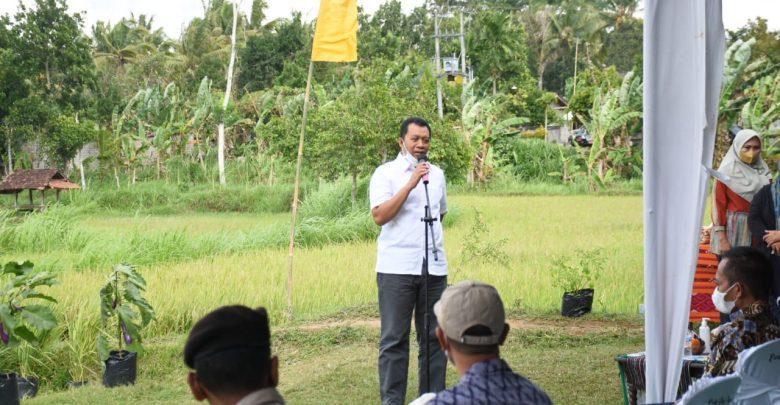 Sejahterakan Petani, TPP PNS Pemrov akan Diberikan Beras Petani Lokal