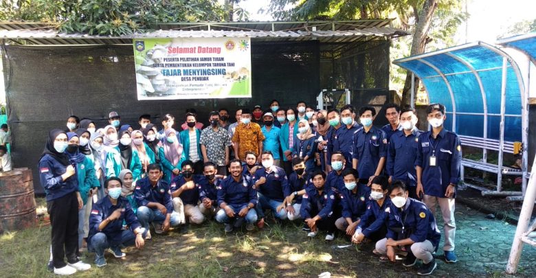 Pelatihan Budidaya Jamur Tiram oleh Karang Taruna Desa Penujak