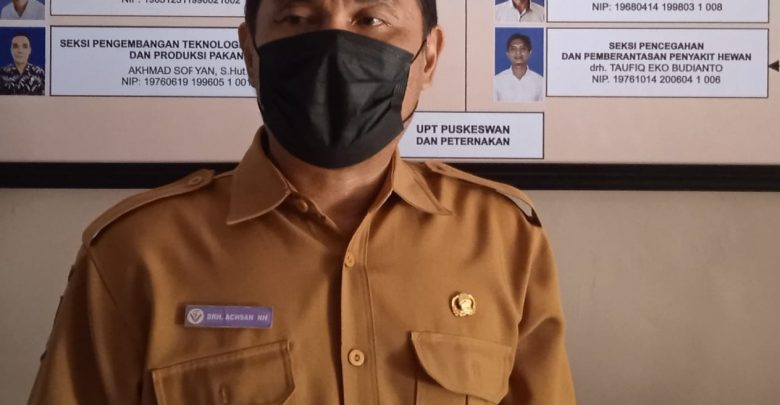 Kadis PKH Lotim Belum Memutuskan Tender Pengadaan Sapi