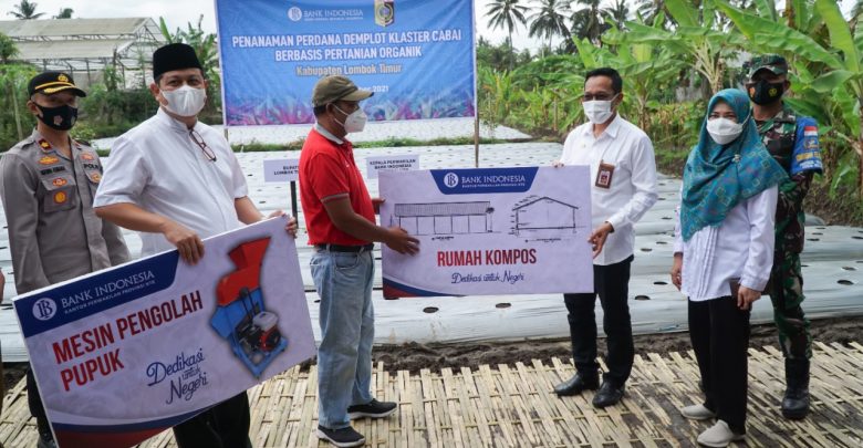 Lotim, Cabai menjadi salah satu komoditi yang mempengaruhi inflasi