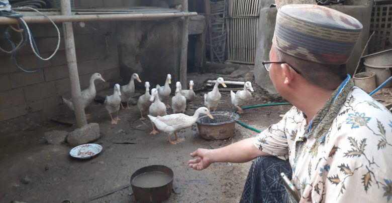 Desa Denggen Timur Cetuskan Kampung Bebek