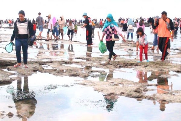 Pelaku Wisata Sesalkan tidak dilibatkan Pemkab dalam Pembahasan Bau Nyale