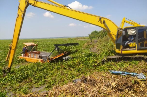 Proyek Pengerjaan Eceng Gondok di Bendungan Batujai Dinilai Sebagai "Lahan Basah" Pemerintah