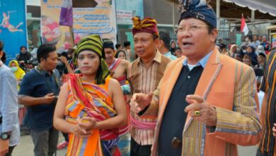 Alunan Budaya Desa Pringgasepa ke VI Sukses Terlaksana