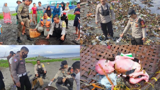 Ditemukan Mayat Bayi Jenis Kelamin Perempuan di Pantai Penghulu Agung