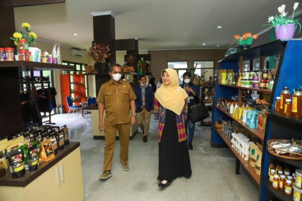 Ketua Dekranasda NTB Apresiasi Project Kerjasama Pelatihan UMKM UNIDO-Diskop