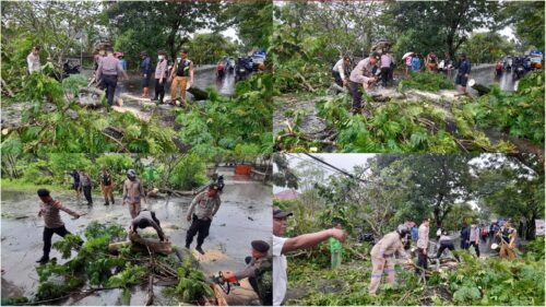 Quick Response Pemerintah Kelurahan Cakranegara Utara Evakuasi