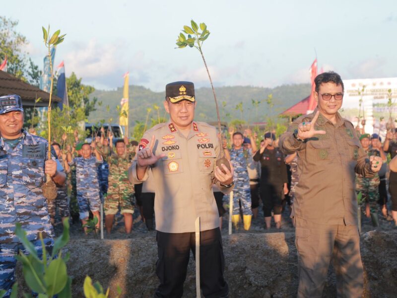 Kapolda NTB Lakukan Penanaman Mangerove di Lombok Barat