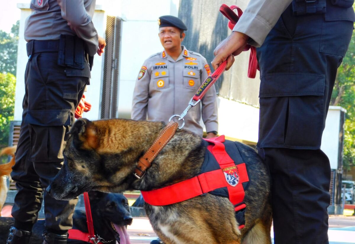 Polmas K9 Ditsamapta Polda NTB Latih Anjing Pelacak