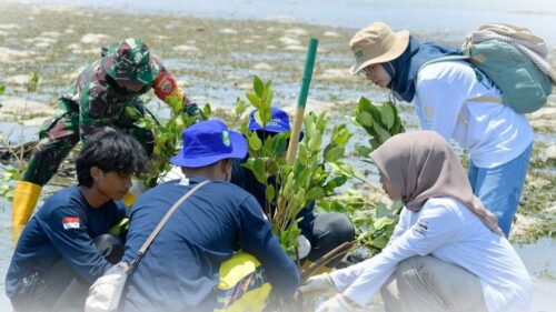 Bank NTB Syariah Tanam 10 Ribu Bibit Mangrove di Kawasan Gili Lampu
