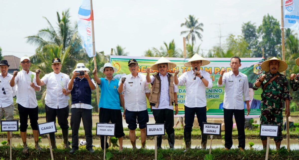 Lotim Siapkan 4000 Hektar Lahan mengatasi Dampak El Nino