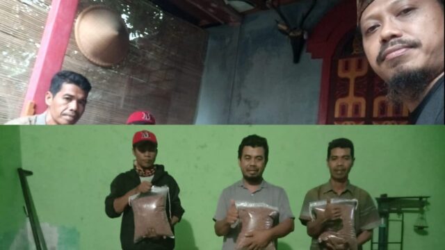 Ketum Laskar Sasak Bagikan Bibit Sorgum dan Gandum di KLU