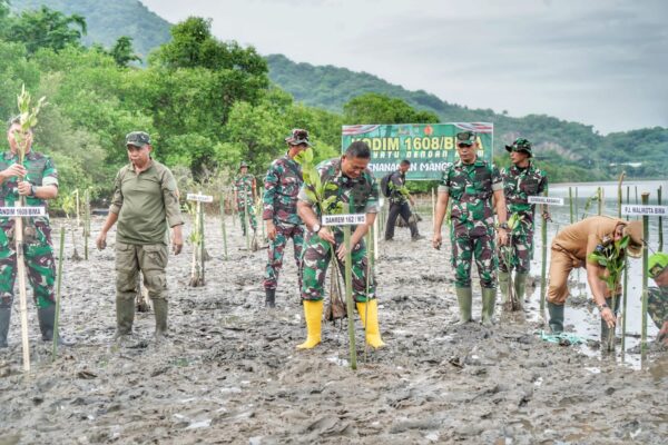 Penanaman 3000 Pohon Mangrove Di Pantai Amahami Kota Bima