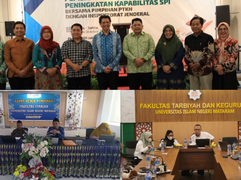 Sosialisasi Penguatan Kapabilitas Pengawasan Fakultas dan Pascasarjana oleh SPI UIN Mataram