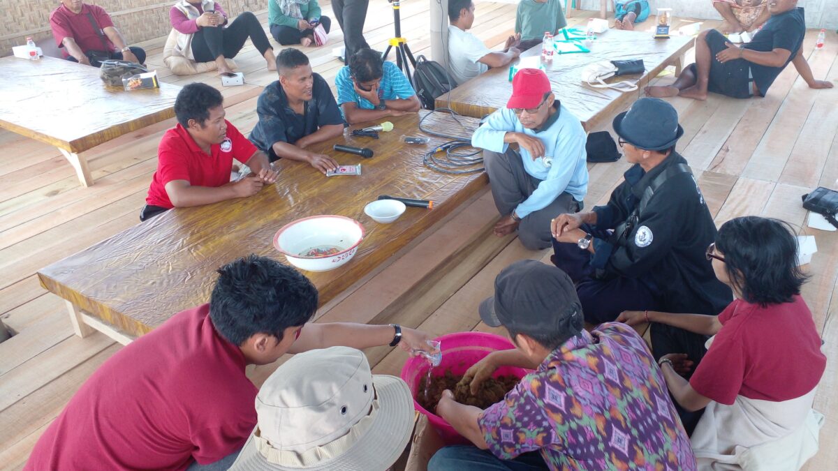 Pembudidayaan Lobster Lotim Diminta Kembangkan Pakan Fermentasi