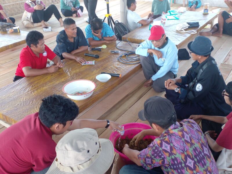 Pembudidayaan Lobster Lotim Diminta Kembangkan Pakan Fermentasi