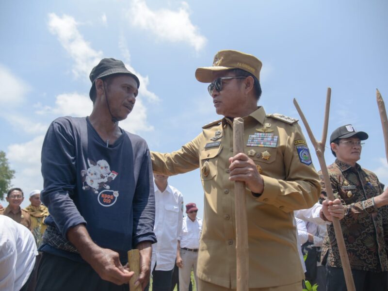 Tanam Serentak Agroforestri Pangan Dihaduri Pj Gubernur NTB