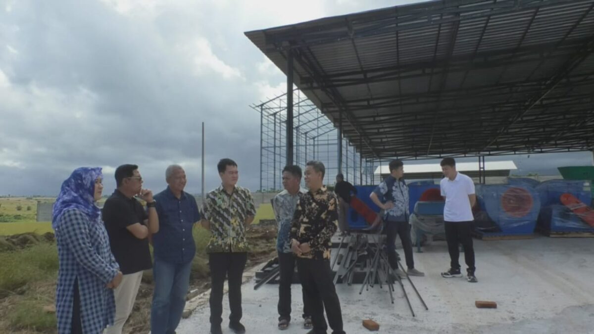 Bupati Lotim Optimis Pabrik Porang Dongkrak Kesejahteraan Petani