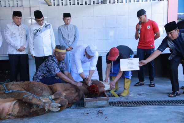 Rayakan Idul Adha, Polda NTB Bagikan Daging Kurban ke Ribuan Warga