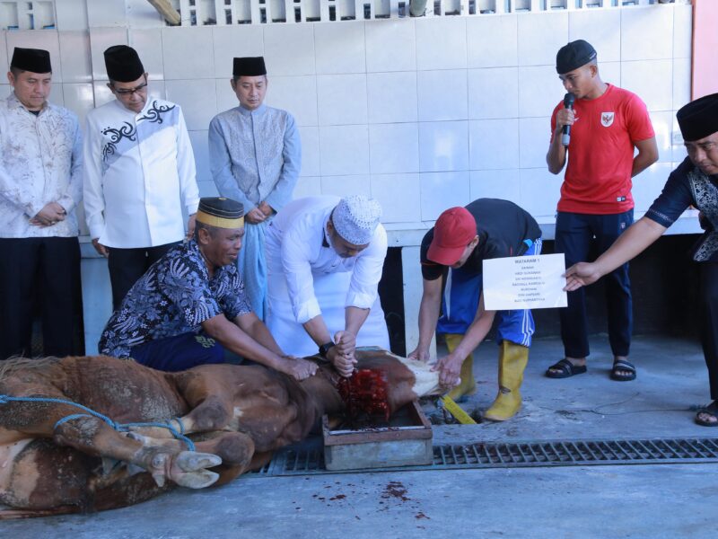 Rayakan Idul Adha, Polda NTB Bagikan Daging Kurban ke Ribuan Warga
