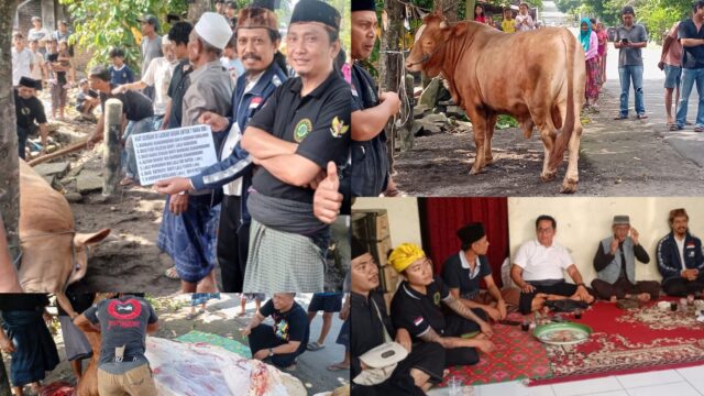 DPD Laskar Sasak Lakukan Penyemblihan Hewan Kurban Idul Adha 1446 H