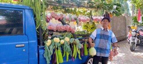 Dinas Pertanian Lotim Kerahkan 500 ASN Arak Hasil Pertanian, Dibagikan Gratis ke Warga