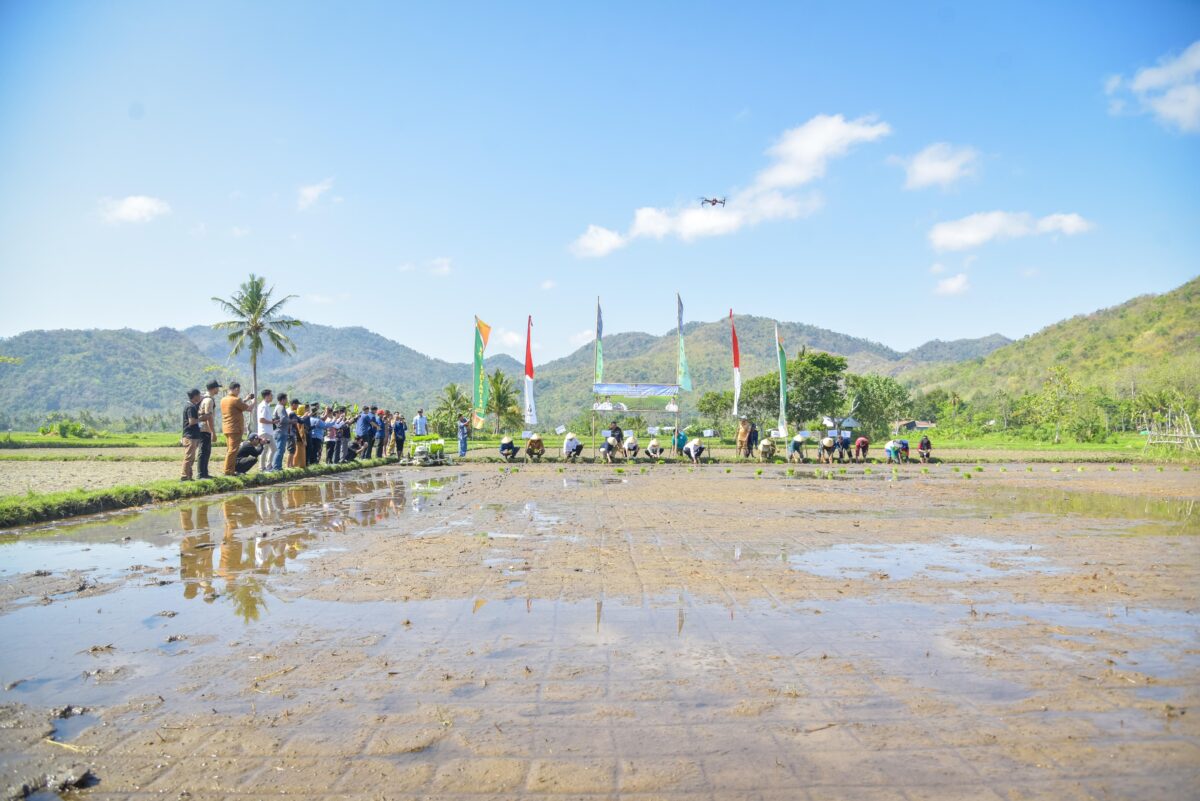 PEDA KTNA XVII Gubernur Tekankan Optimalisasi Lahan dan Revitalisasi Irigasi
