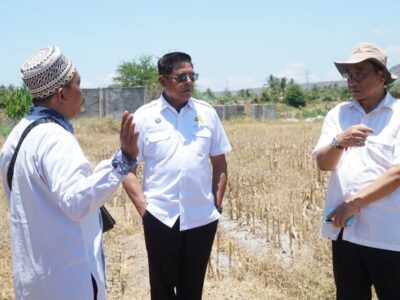 Pemkab Lotim Siap Wujudkan Sekolah Garuda