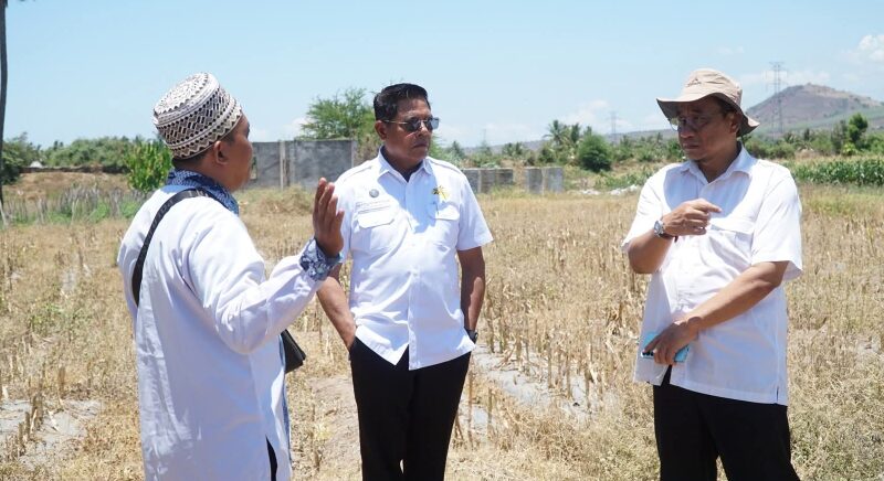 Pemkab Lotim Siap Wujudkan Sekolah Garuda