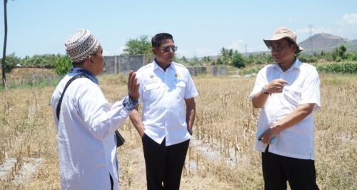 Pemkab Lotim Siap Wujudkan Sekolah Garuda