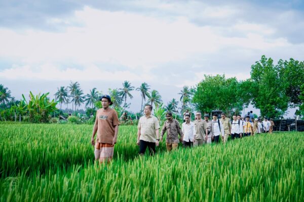 Gubernur NTB Dorong Normalisasi Sungai dan Awig-Awig Kebersihan