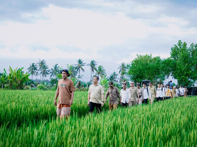Gubernur NTB Dorong Normalisasi Sungai dan Awig-Awig Kebersihan
