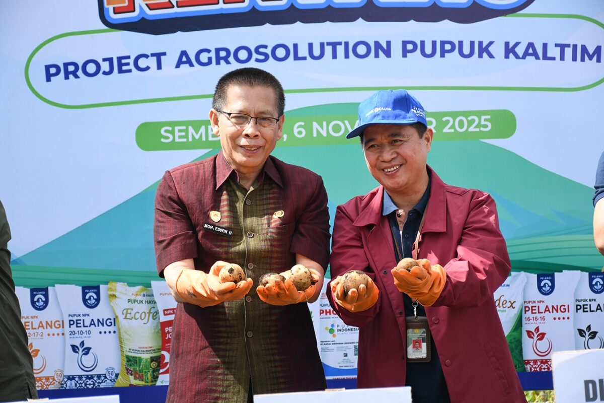 Sembalun Menuju Sentra Benih Kentang Nasional