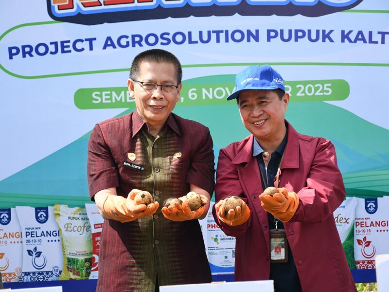 Sembalun Menuju Sentra Benih Kentang Nasional