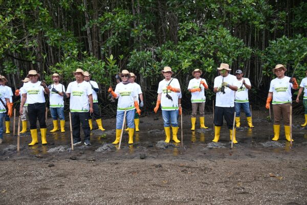 Wabup Lotim Apresiasi Program Penanaman Mangrove