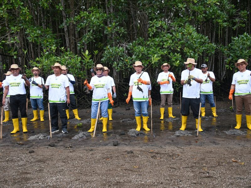 Wabup Lotim Apresiasi Program Penanaman Mangrove