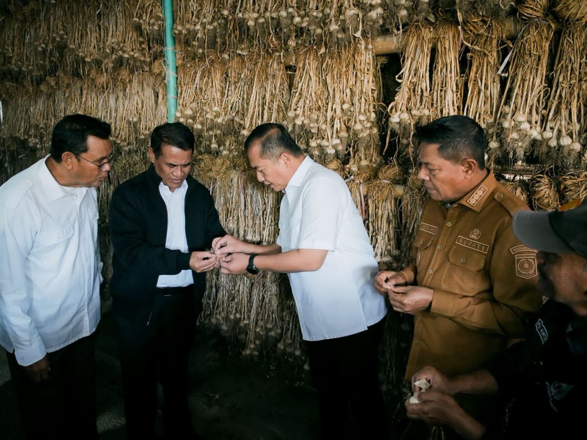 Mentan Tetapkan NTB sebagai Sentra Bawang Putih Nasional