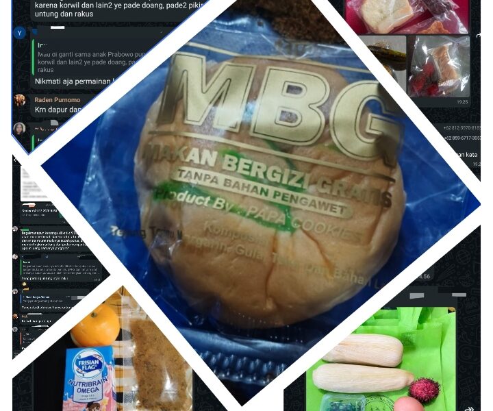 Benarkah Proyek MBG Ladang Keuntungan, Bukan Ladang Gizi?