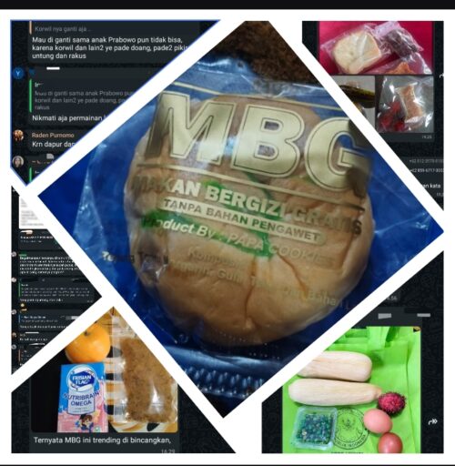 Benarkah Proyek MBG Ladang Keuntungan, Bukan Ladang Gizi?