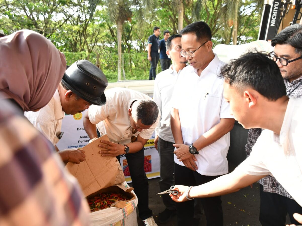 Cabai Asal Sulsel Masuk Lombok Timur