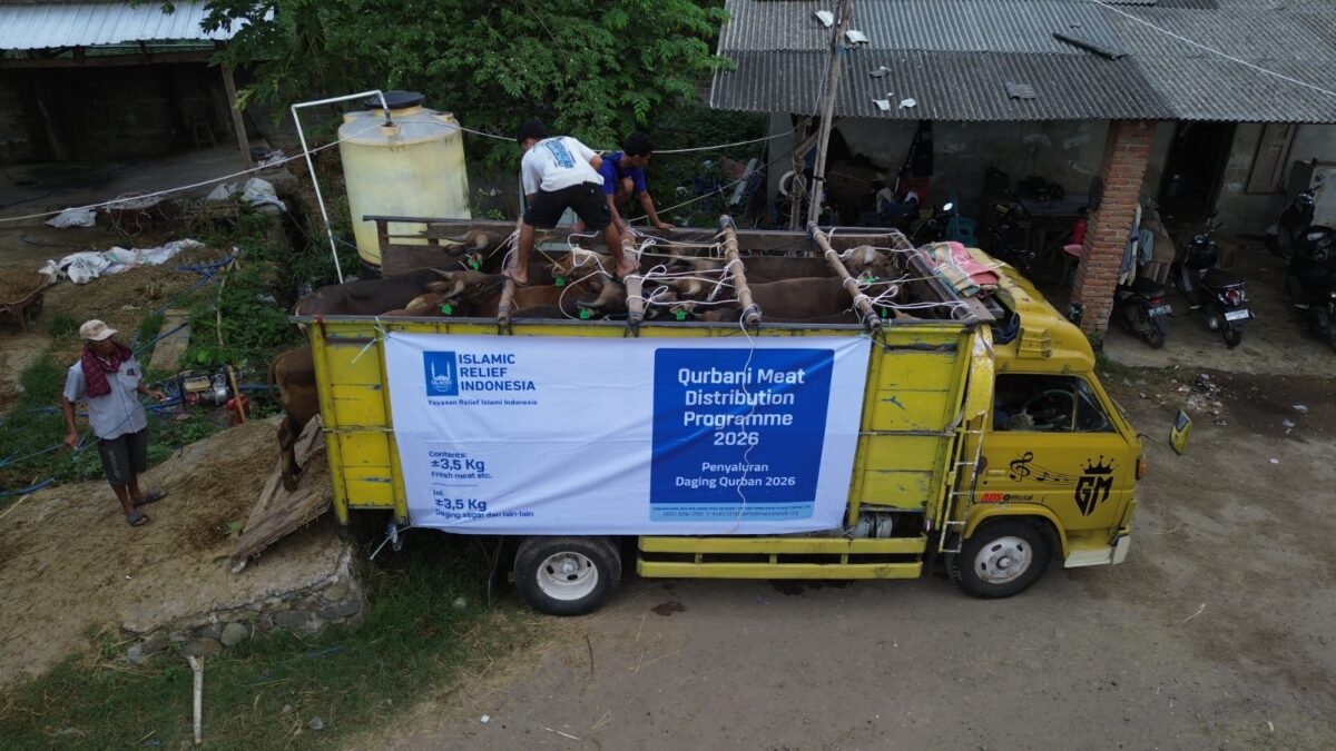 Islamic Relief Salurkan 274 Sapi Kurban dalam Program Double Qurban–Double Berkah