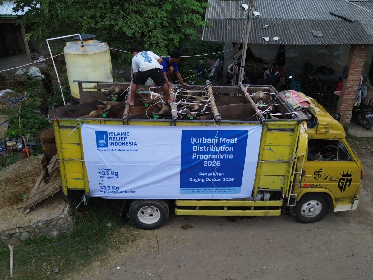 Islamic Relief Salurkan 274 Sapi Kurban dalam Program Double Qurban–Double Berkah